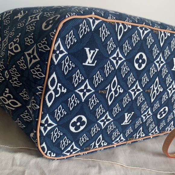 LOUIS VUITTON - Picture 15 of 16